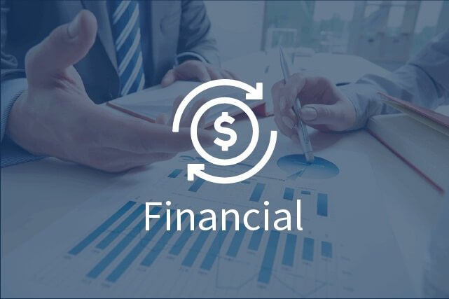 financial translation services